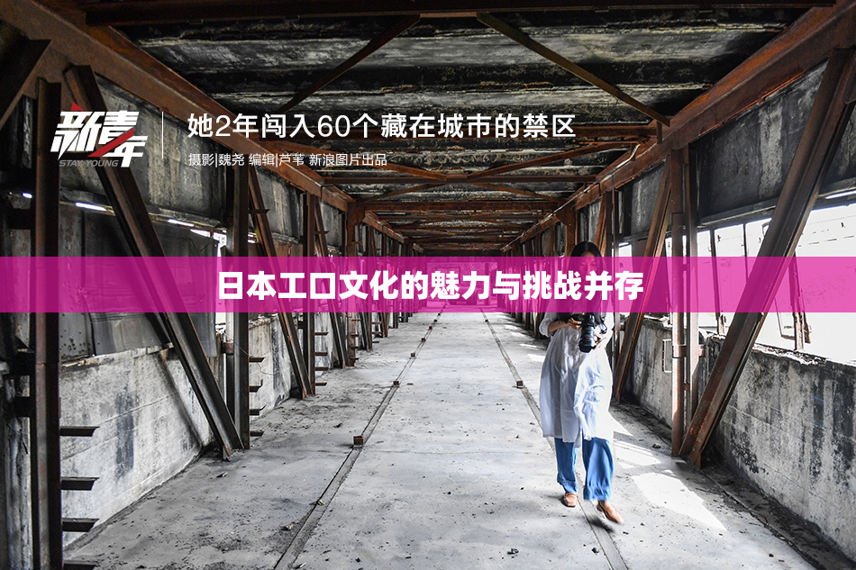 日本工口文化的魅力与挑战并存