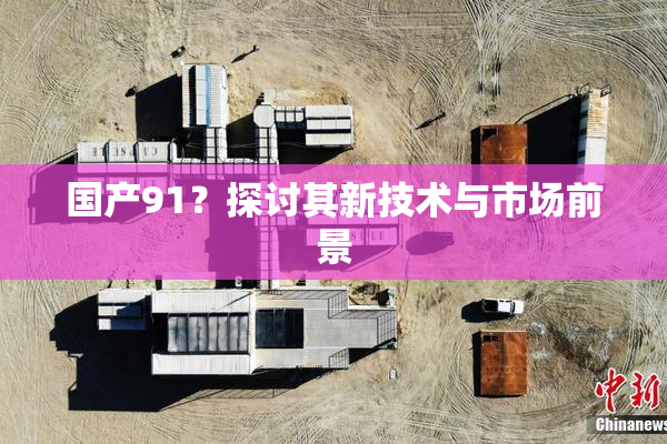 国产91？探讨其新技术与市场前景