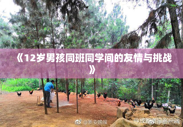 《12岁男孩同班同学间的友情与挑战》
