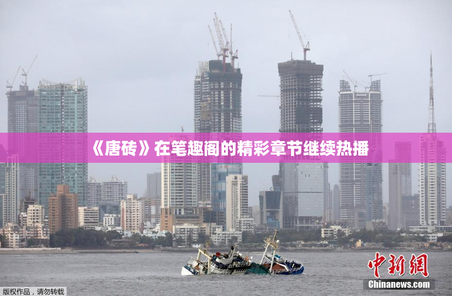 《唐砖》在笔趣阁的精彩章节继续热播
