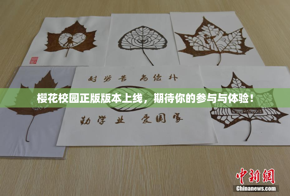 樱花校园正版版本上线，期待你的参与与体验！