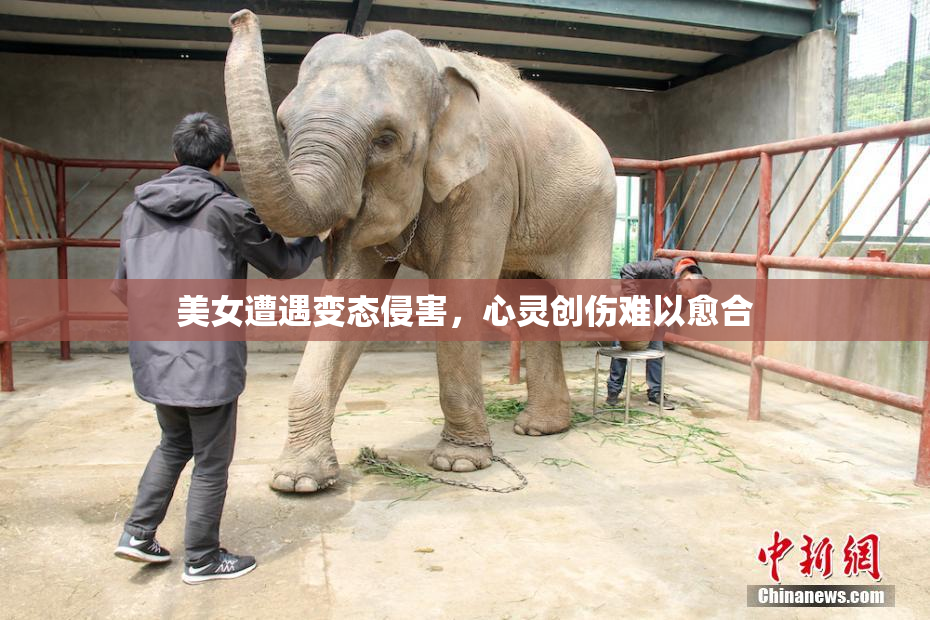 美女遭遇变态侵害，心灵创伤难以愈合