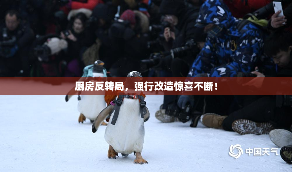 厨房反转局，强行改造惊喜不断！