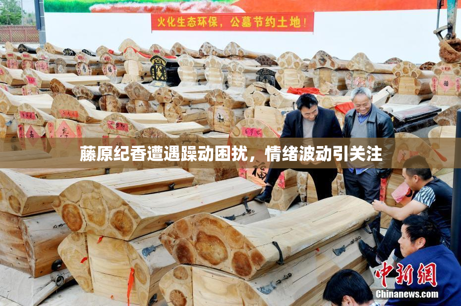 藤原纪香遭遇躁动困扰，情绪波动引关注