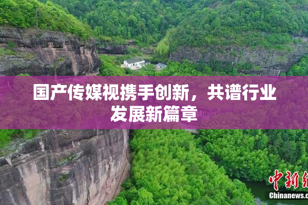国产传媒视携手创新，共谱行业发展新篇章