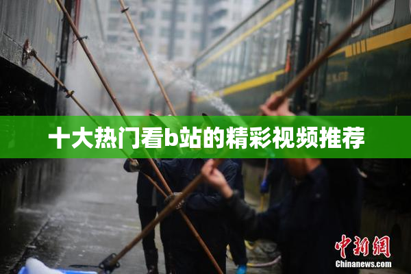 十大热门看b站的精彩视频推荐