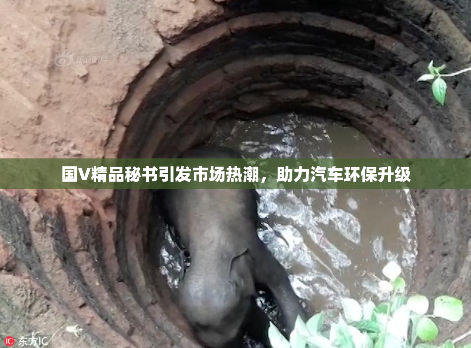 国V精品秘书引发市场热潮，助力汽车环保升级