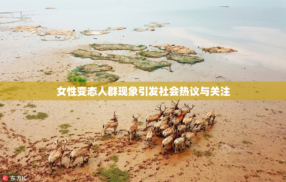 女性变态人群现象引发社会热议与关注