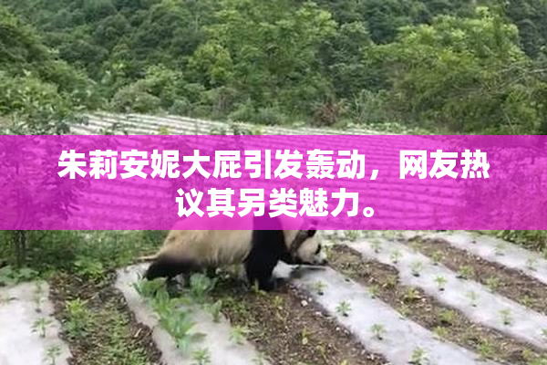 朱莉安妮大屁引发轰动，网友热议其另类魅力。