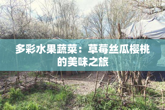 多彩水果蔬菜：草莓丝瓜樱桃的美味之旅