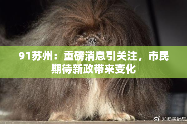 91苏州：重磅消息引关注，市民期待新政带来变化