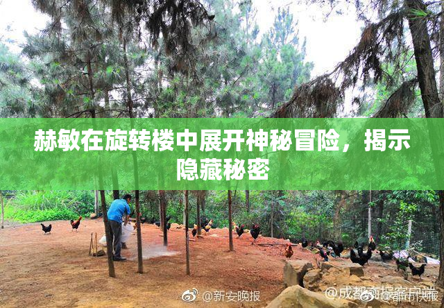 赫敏在旋转楼中展开神秘冒险，揭示隐藏秘密