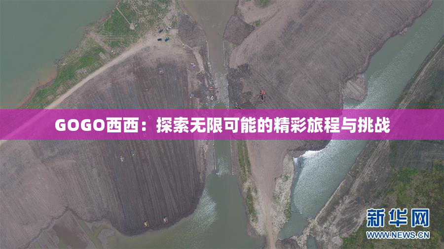 GOGO西西：探索无限可能的精彩旅程与挑战