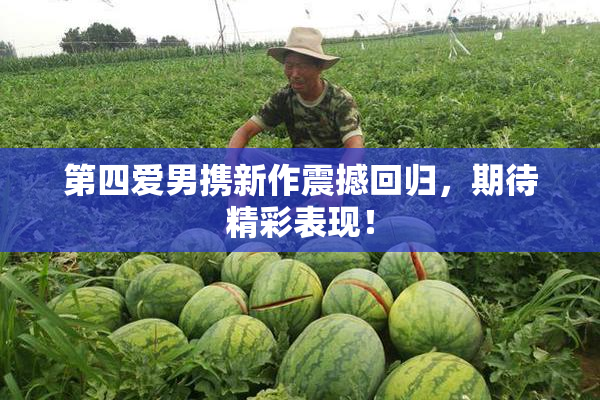 第四爱男携新作震撼回归，期待精彩表现！