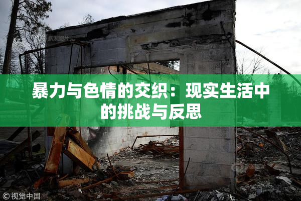 暴力与色情的交织：现实生活中的挑战与反思