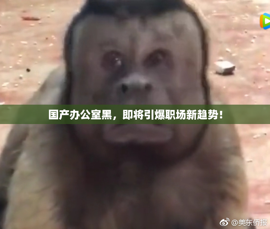 国产办公室黑，即将引爆职场新趋势！