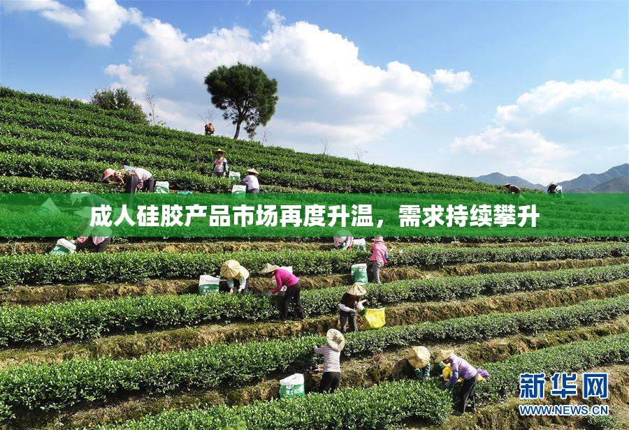 成人硅胶产品市场再度升温，需求持续攀升