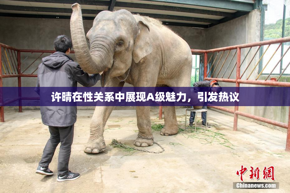 许晴在性关系中展现A级魅力，引发热议