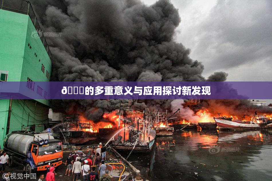 🍆的多重意义与应用探讨新发现