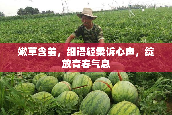 嫩草含羞，细语轻柔诉心声，绽放青春气息
