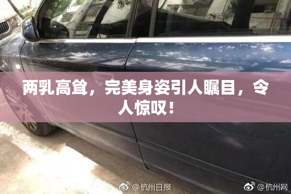 两乳高耸，完美身姿引人瞩目，令人惊叹！