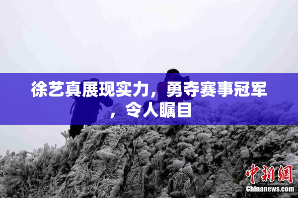 徐艺真展现实力，勇夺赛事冠军，令人瞩目