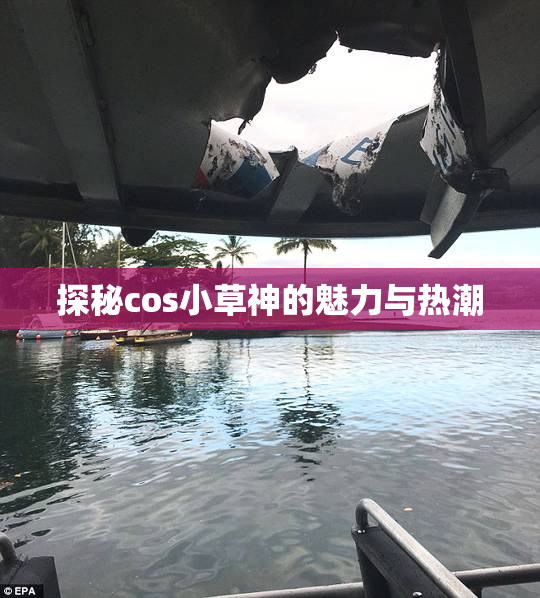 探秘cos小草神的魅力与热潮