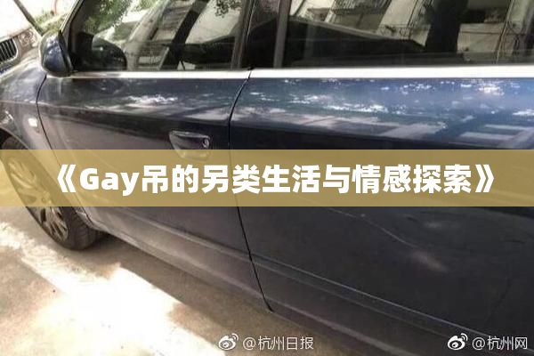 《Gay吊的另类生活与情感探索》