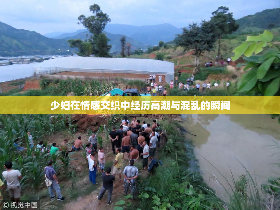 少妇在情感交织中经历高潮与混乱的瞬间