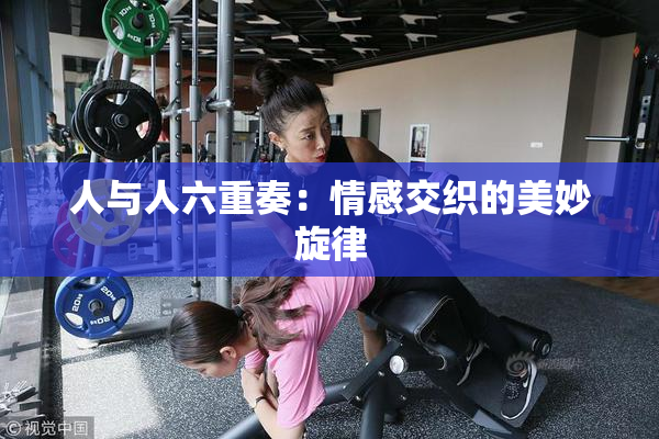 人与人六重奏：情感交织的美妙旋律
