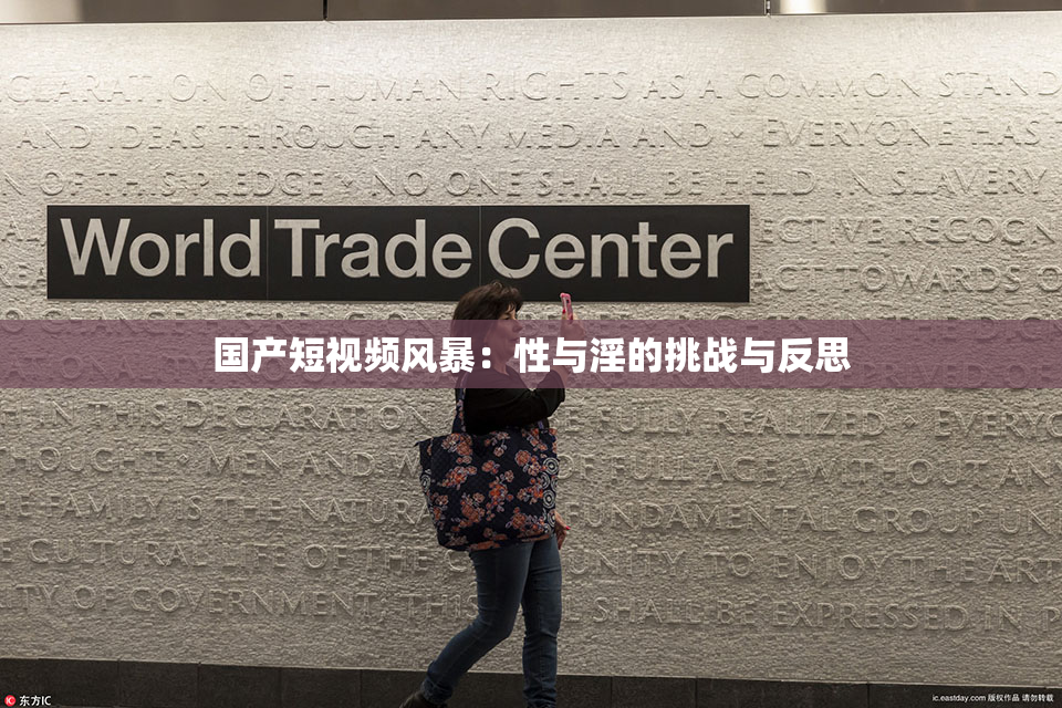 国产短视频风暴：性与淫的挑战与反思
