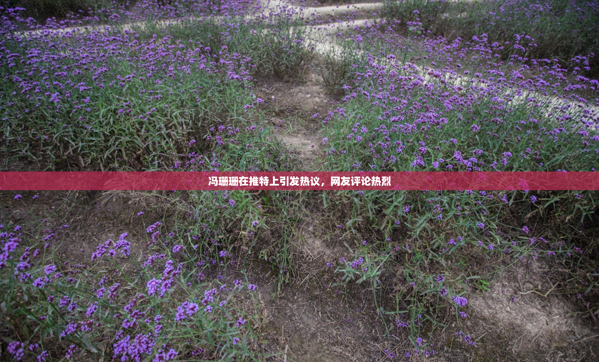 冯珊珊在推特上引发热议，网友评论热烈