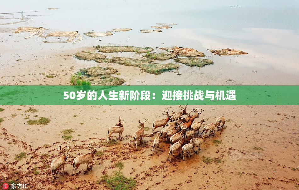 50岁的人生新阶段：迎接挑战与机遇