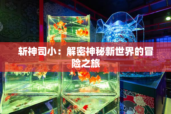 斩神司小：解密神秘新世界的冒险之旅