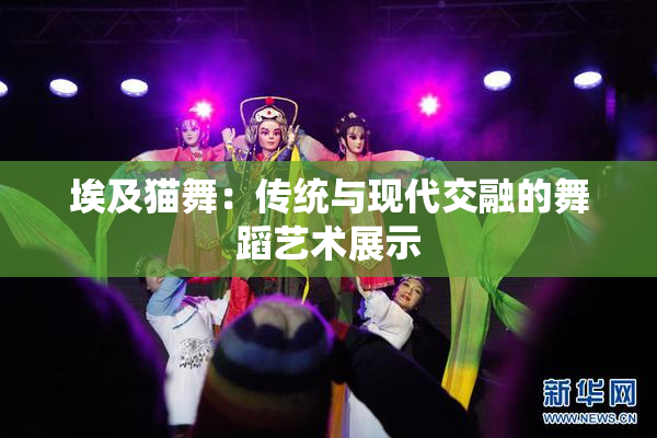 埃及猫舞：传统与现代交融的舞蹈艺术展示