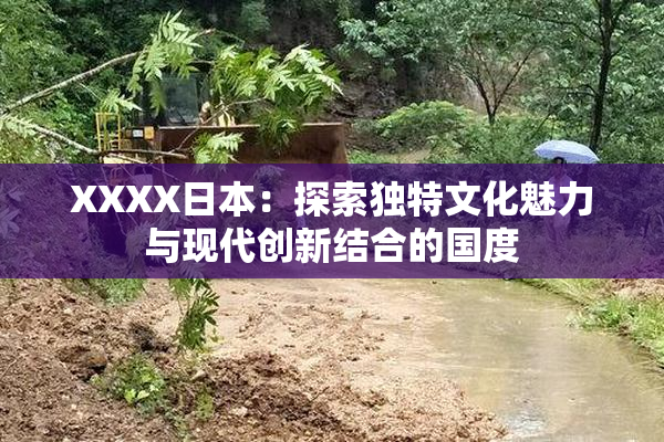 XXXX日本：探索独特文化魅力与现代创新结合的国度