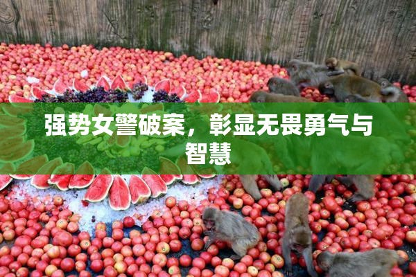 强势女警破案，彰显无畏勇气与智慧