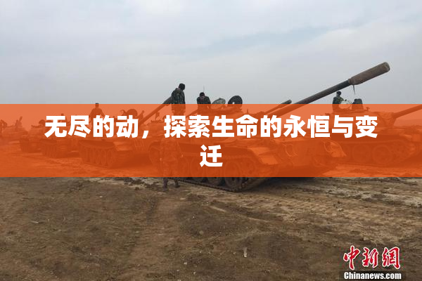 无尽的动，探索生命的永恒与变迁