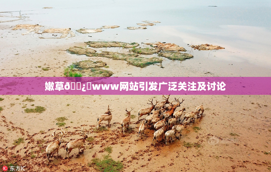 嫩草🌿‌www网站引发广泛关注及讨论