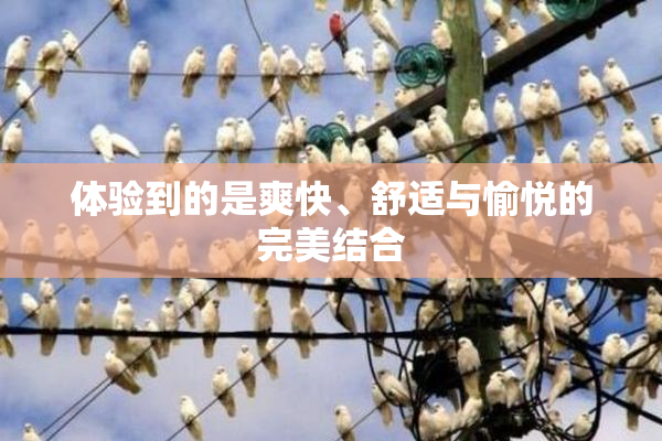 体验到的是爽快、舒适与愉悦的完美结合