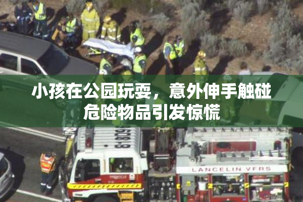 小孩在公园玩耍，意外伸手触碰危险物品引发惊慌