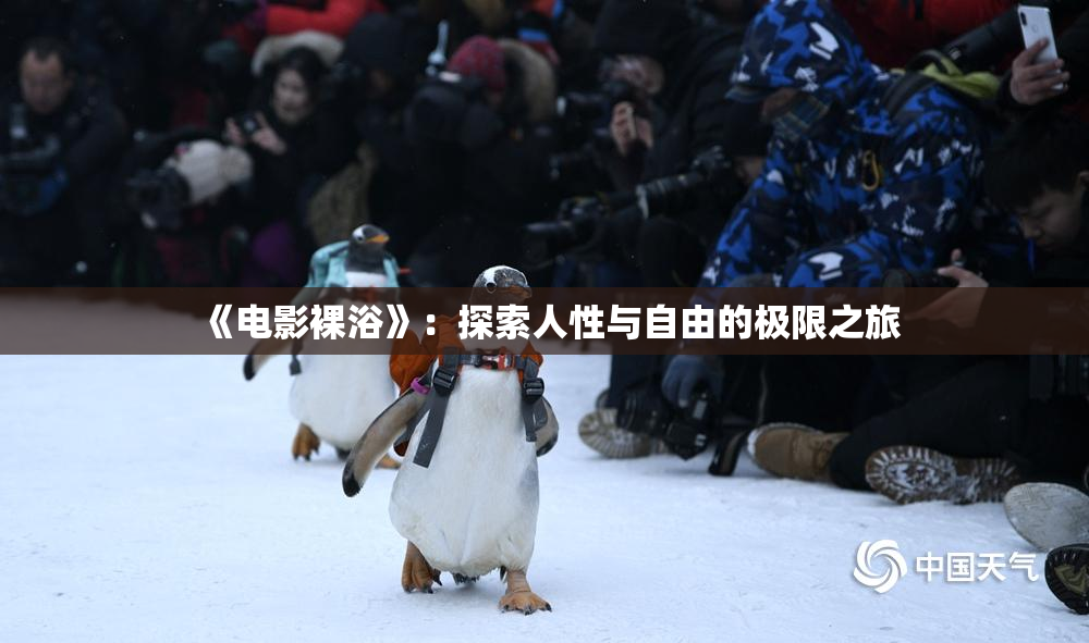 《电影裸浴》：探索人性与自由的极限之旅
