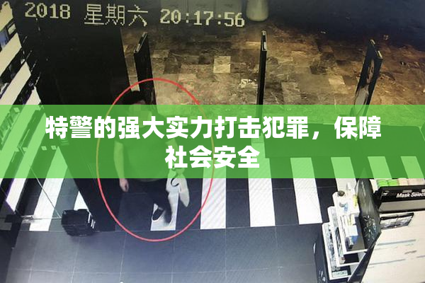 特警的强大实力打击犯罪，保障社会安全
