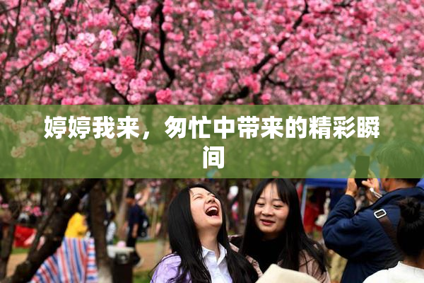 婷婷我来，匆忙中带来的精彩瞬间