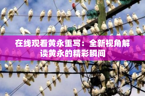在线观看黄永重写：全新视角解读黄永的精彩瞬间