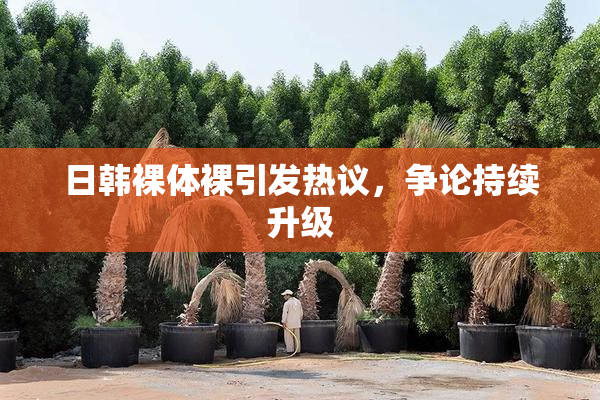 日韩裸体裸引发热议，争论持续升级