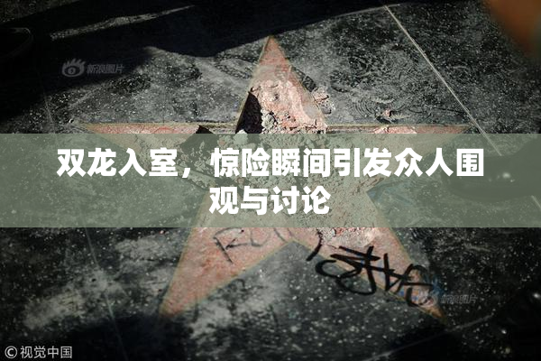 双龙入室，惊险瞬间引发众人围观与讨论