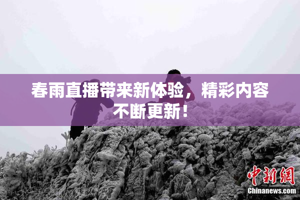 春雨直播带来新体验，精彩内容不断更新！