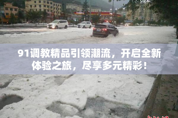 91调教精品引领潮流，开启全新体验之旅，尽享多元精彩！