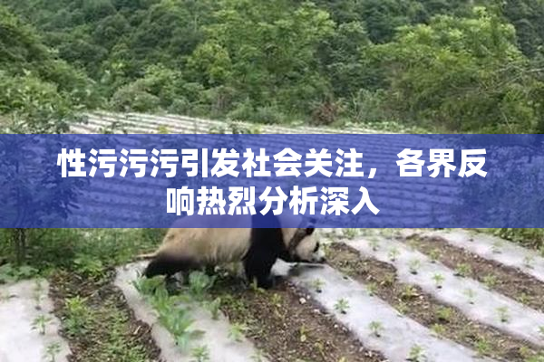 性污污污引发社会关注，各界反响热烈分析深入